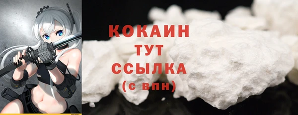 прущие грибы Краснотурьинск