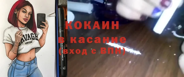 прущие грибы Краснотурьинск