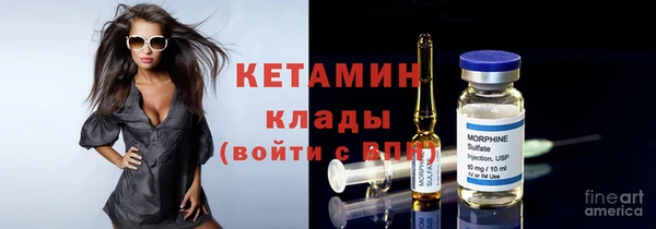 гидра Ессентукская