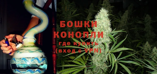 прущие грибы Краснотурьинск