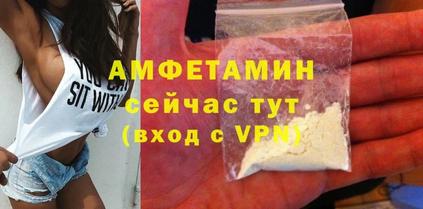 твердый Краснослободск