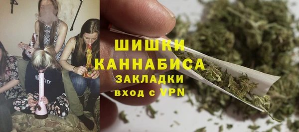 твердый Краснослободск