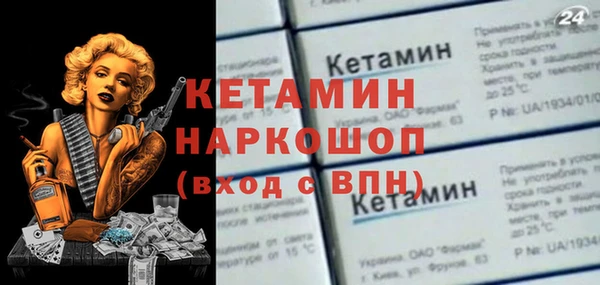 гидра Ессентукская