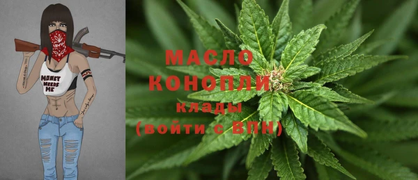 твердый Краснослободск