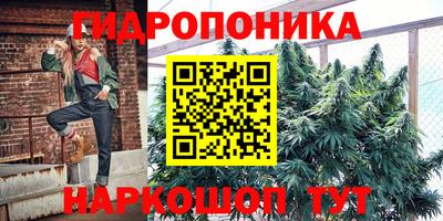 спиды Берёзовский