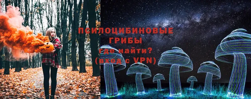 Галлюциногенные грибы Cubensis  закладка  Москва 