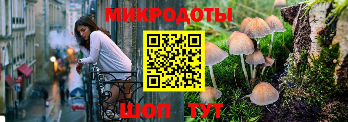 Галлюциногенные грибы мухоморы Москва