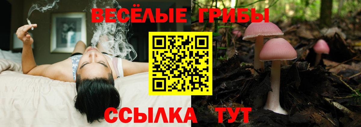 Галлюциногенные грибы ЛСД  сколько стоит  Галлюциногенные грибы GOLDEN TEACHER  Москва 