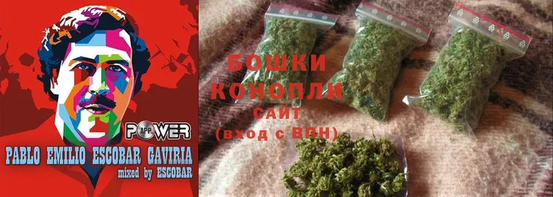 Канабис OG Kush  продажа наркотиков  Москва 